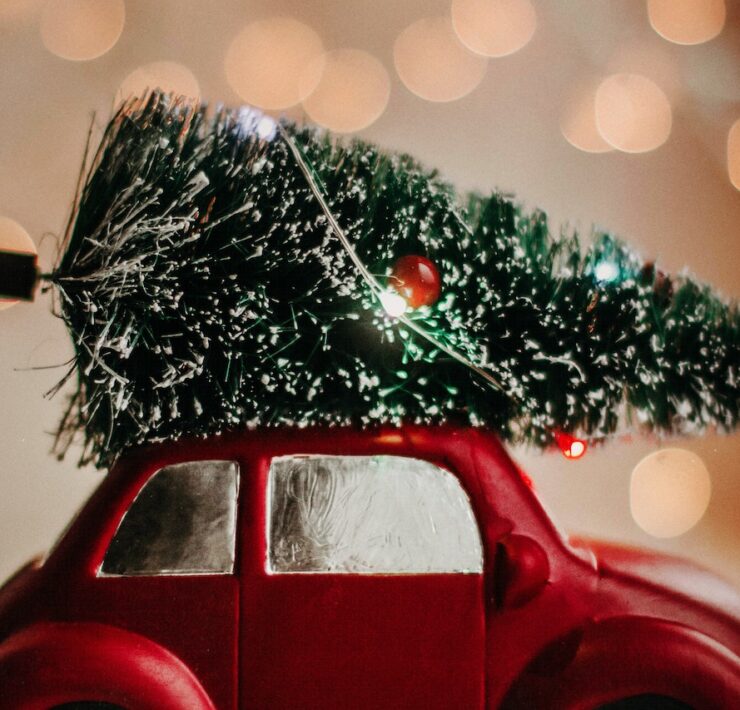 pexels kristina paukshtite 3444345