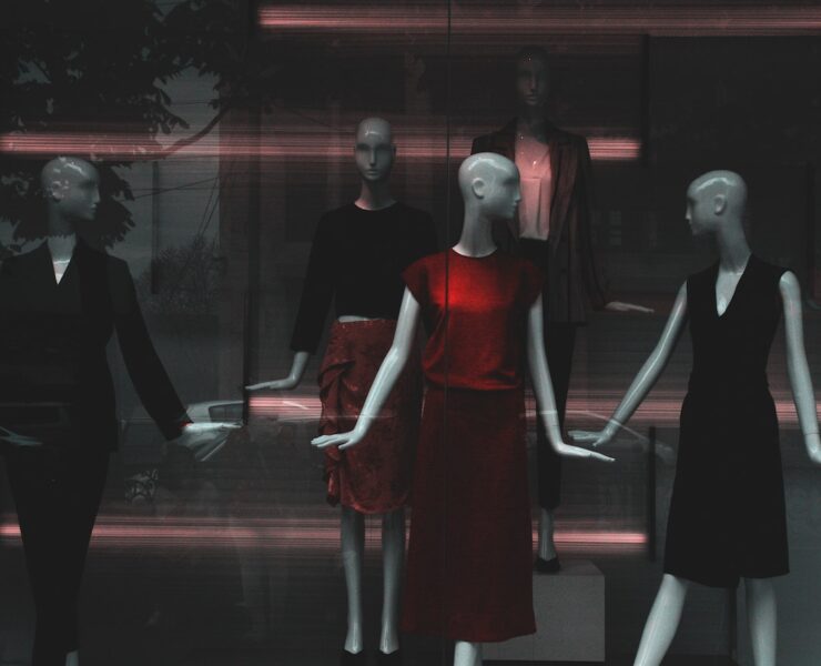 pexels george shervashidze 1008206