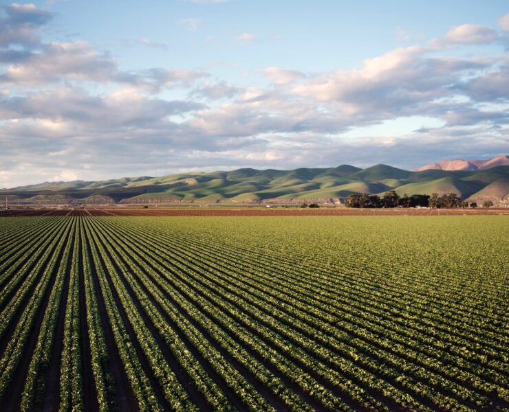 pexels tim mossholder 974314