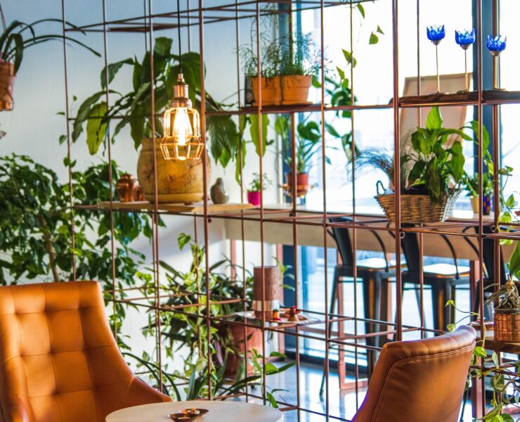 pexels valeria boltneva 827518