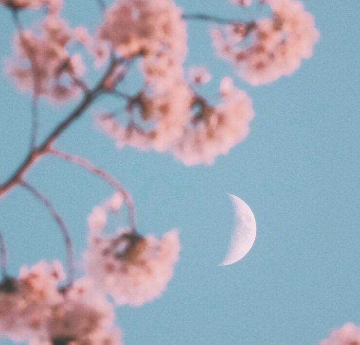 pexels zhang kaiyv 16110121