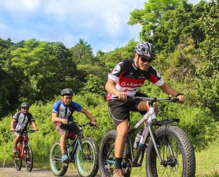 pexels do castle 2158963