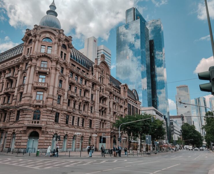 pexels elizabeth rushkovska 13716218