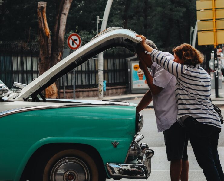 pexels fatih guney 17278644