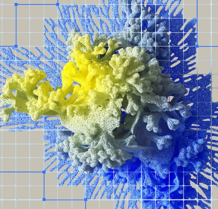 pexels google deepmind 17484901