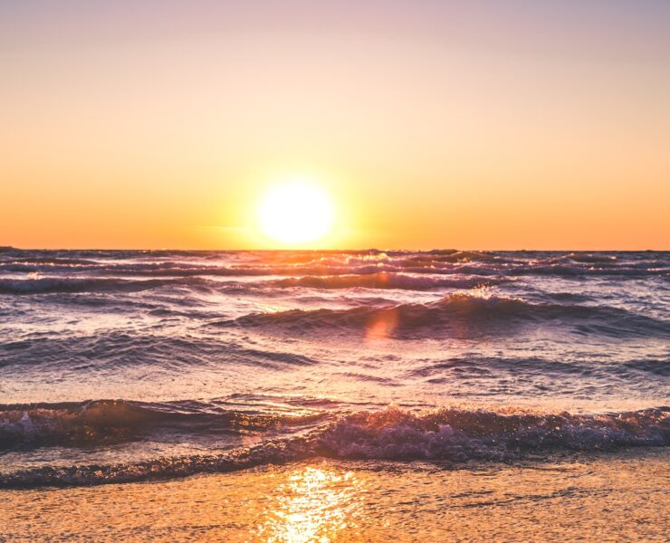 pexels travis rupert 1032650 1