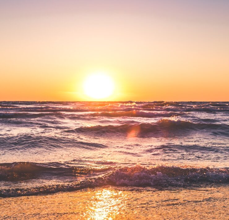 pexels travis rupert 1032650 1