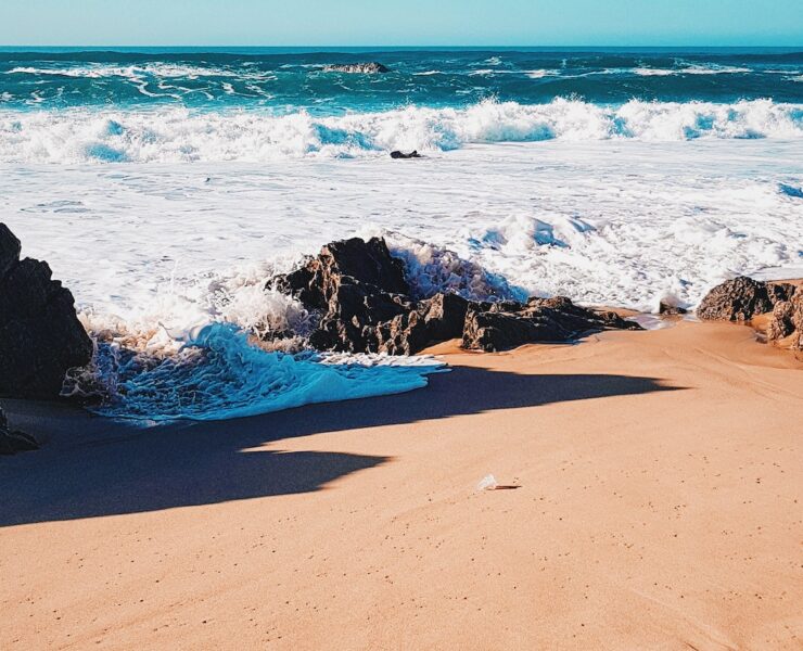 pexels almada studio 3545605