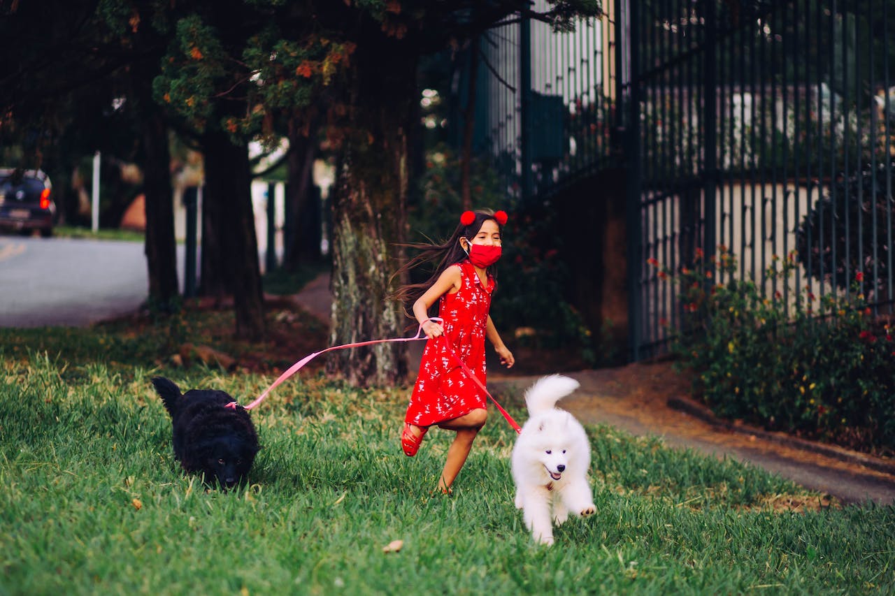 Companionship Beyond Words: How an ESA Letter Can Transform Your Emotional Well-Being 1 pexels helena lopes 4453109
