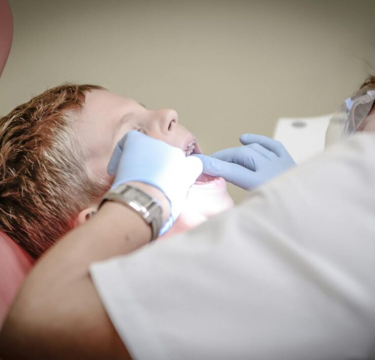 pexels pixabay 52527