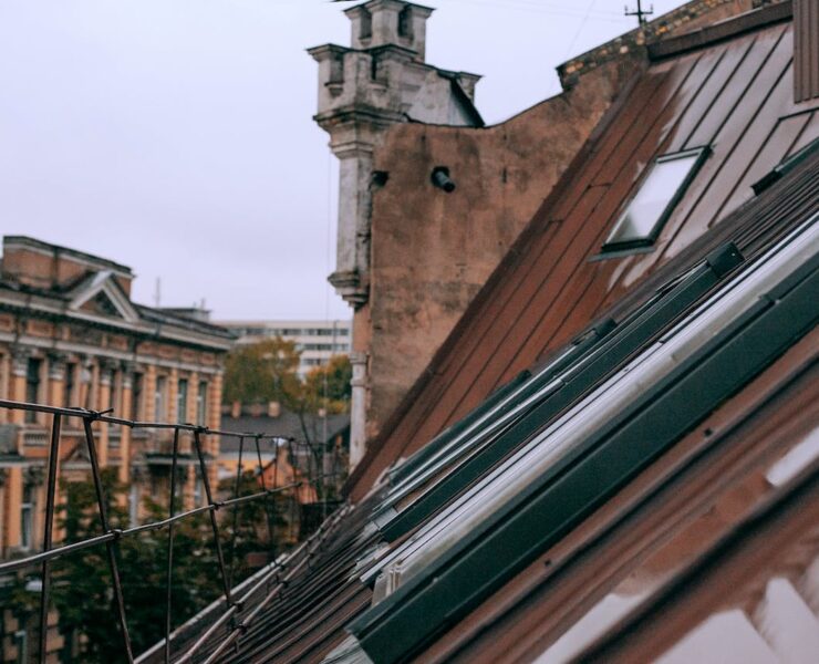 pexels maria orlova 4946993